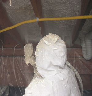 Port St Lucie FL crawl space insulation